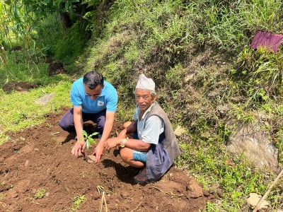 Coffee Farming Support for Women Farmers in Nepal: 5,000 Saplings Reach 150 Farmers in Dhading
