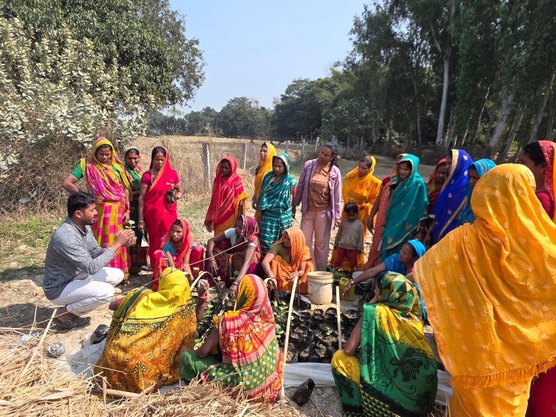 Climate Smart Farmers Field School (CSFFS) Implementations