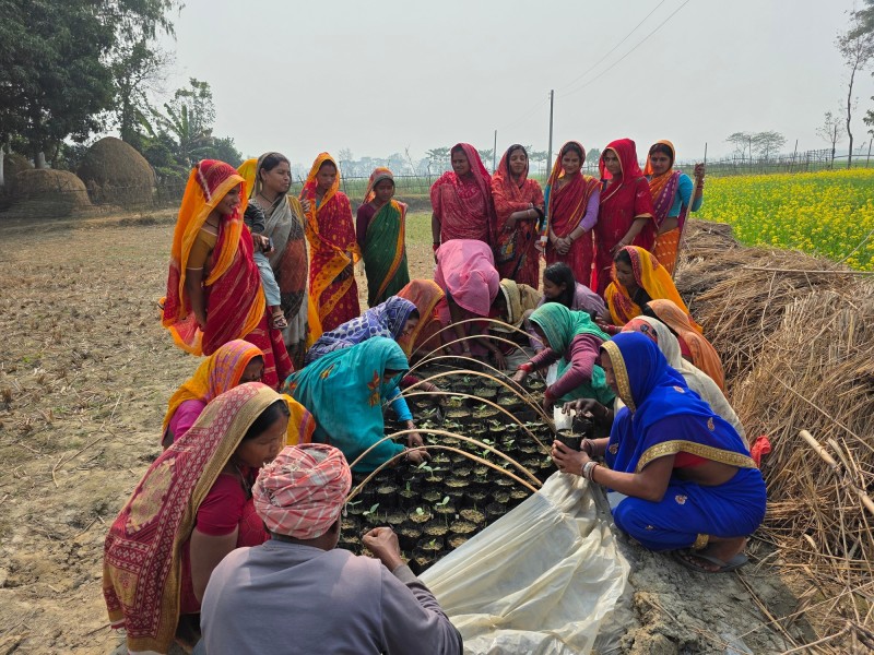 Climate Smart Farmers Field School (CSFFS)