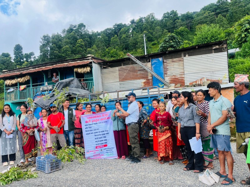 Commercial Timur Plantation in Dhading