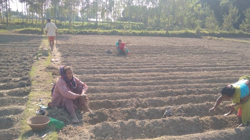 Collective Farming for Community Prosperity