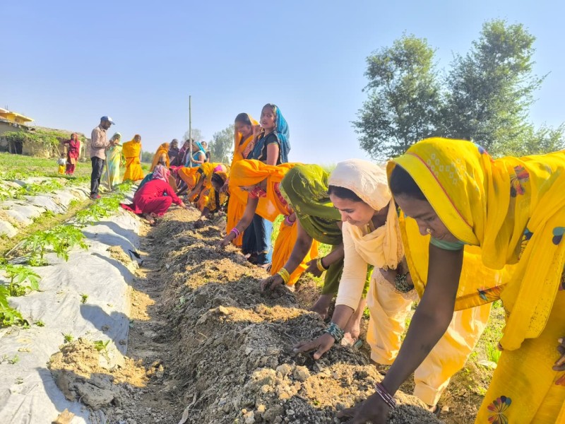 Empowering Women Farmers Through Bio Intensive Farming