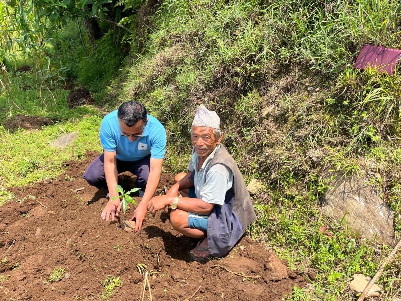 Coffee Farming Support for Women Farmers in Nepal: 5,000 Saplings Reach 150 Farmers in Dhading
